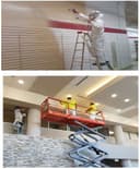 Elite Scaffold & Shoring