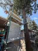 Myco Scaffold